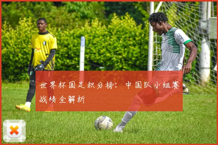 世界杯国足积分榜:中国队小组赛战绩全解析
