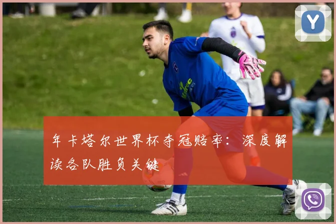 年卡塔尔世界杯夺冠赔率：深度解读各队胜负关键