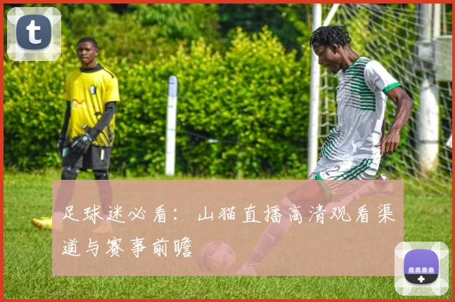 足球迷必看：山猫直播高清观看渠道与赛事前瞻