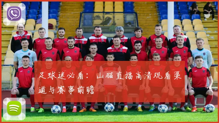 足球迷必看：山猫直播高清观看渠道与赛事前瞻